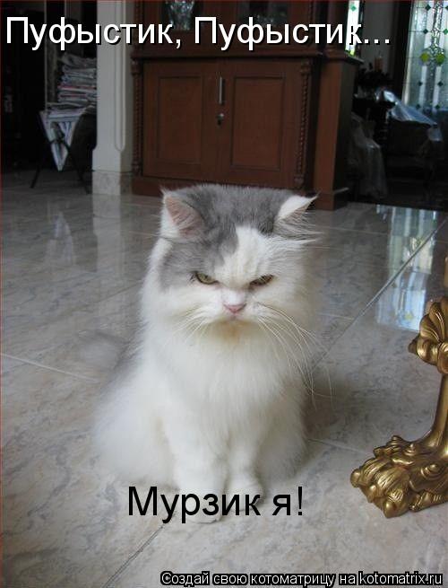 Пуфыстик, Пуфыстик... Мурзик я!... Котоматрица: Пуфыстик, Пуфыстик... Мурзик я!