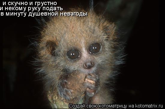 и скучно и грустно и некому руку подать в минуту душевной невзгоды... Котоматрица: и скучно и грустно и некому руку подать в минуту душевной невзгоды