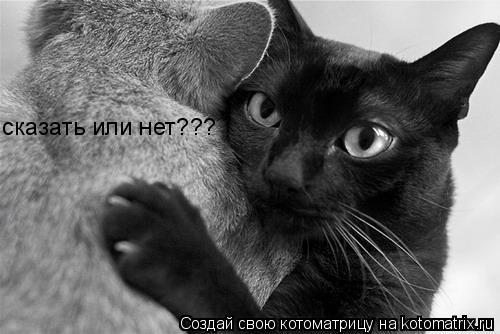 сказать или нет???... Котоматрица: сказать или нет???