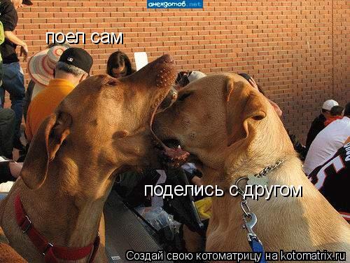 поел сам поделись с другом... Котоматрица: поел сам поделись с другом