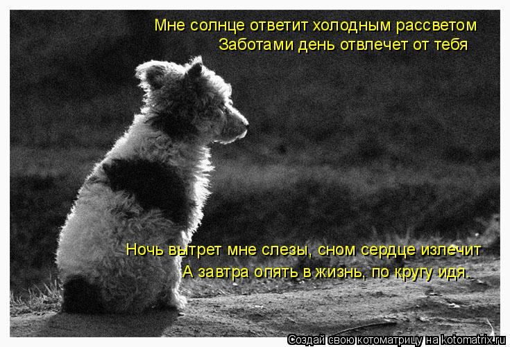Мне солнце ответит холодным рассветом Заботами день отвлечет от тебя Ночь вытрет мне слезы, сном се... Котоматрица: Мне солнце ответит холодным рассветом Заботами день отвлечет от тебя Ночь вытрет мне слезы, сном сердце излечит А завтра опять в жизнь, по