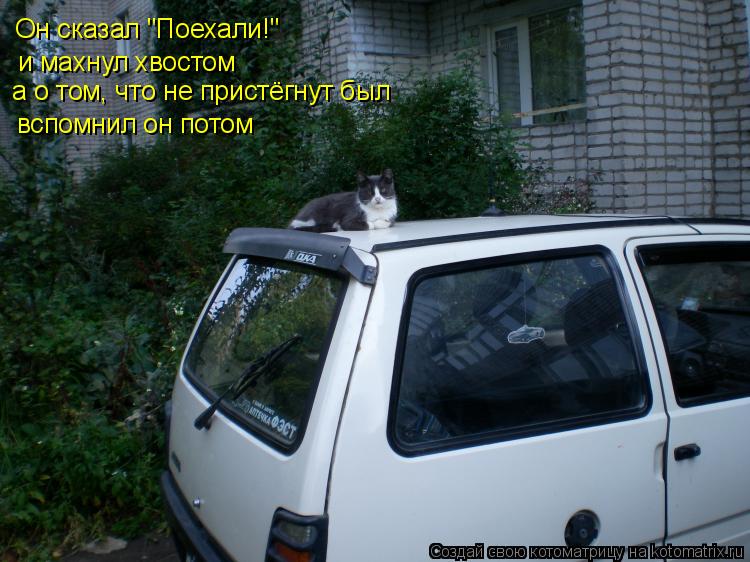 Он сказал "Поехали!" и махнул хвостом а о том, что не пристёгнут был вспомнил он потом... Котоматрица: Он сказал "Поехали!" и махнул хвостом а о том, что не пристёгнут был вспомнил он потом
