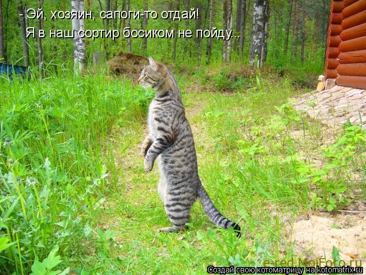 - Эй, хозяин, сапоги-то отдай! Я в наш сортир босиком не пойду...... Котоматрица: - Эй, хозяин, сапоги-то отдай! Я в наш сортир босиком не пойду...
