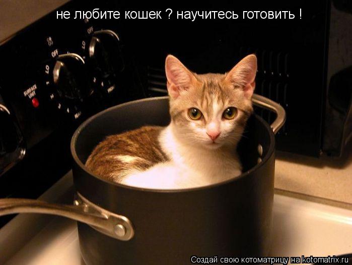 Котоматрица: не любите кошек ? научитесь готовить !