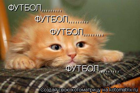 ФУТБОЛ,,,,,,,,, ФУТБОЛ,,,,,,,,, ФУТБОЛ,,,,,,,,, ФУТБОЛ,,,,,,,,, ФУТБОЛ,,,,,,,,,... Котоматрица: ФУТБОЛ,,,,,,,,, ФУТБОЛ,,,,,,,,, ФУТБОЛ,,,,,,,,, ФУТБОЛ,,,,,,,,, ФУТБОЛ,,,,,,,,,
