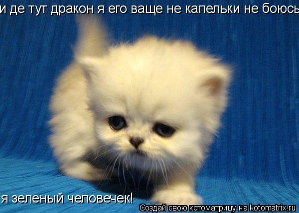 и де тут дракон я его ваще не капельки не боюсь! я зеленый человечек!... Котоматрица: и де тут дракон я его ваще не капельки не боюсь! я зеленый человечек!
