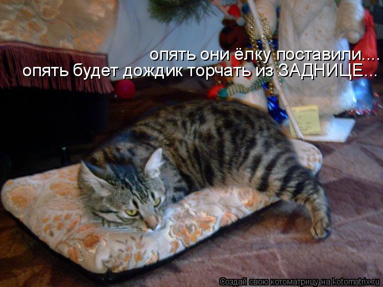 опять они ёлку поставили.... опять будет дождик торчать из ЗАДНИЦЕ...... Котоматрица: опять они ёлку поставили.... опять будет дождик торчать из ЗАДНИЦЕ...