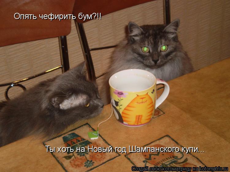 Котоматрица: Опять чефирить бум?!! Ты хоть на Новый год Шампанского купи...