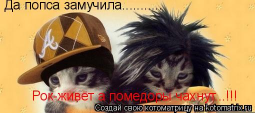 Да попса замучила........... Рок-живёт а помедоры чахнут...!!!... Котоматрица: Да попса замучила........... Рок-живёт а помедоры чахнут...!!!