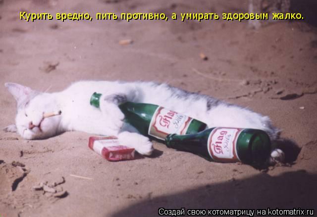 Куpить вpедно, пить пpотивно, а умиpать здоpовым жалко.... Котоматрица: Куpить вpедно, пить пpотивно, а умиpать здоpовым жалко.