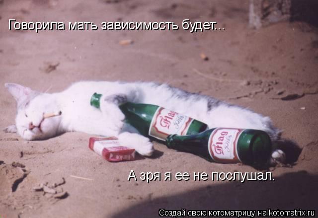 Говорила мать зависимость будет... А зря я ее не послушал.... Котоматрица: Говорила мать зависимость будет... А зря я ее не послушал.