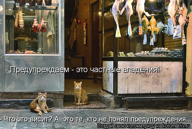 - Предупреждаем - это частные владения! - Что это висит? А, это те, кто не понял предупреждения...... Котоматрица: - Предупреждаем - это частные владения! - Что это висит? А, это те, кто не понял предупреждения...