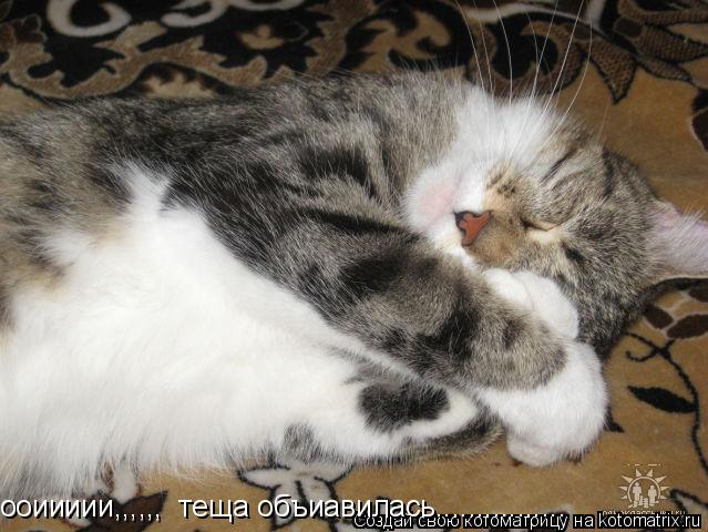 ооиииии,,,,,, теща объиавилась................... Котоматрица: ооиииии,,,,,, теща объиавилась................