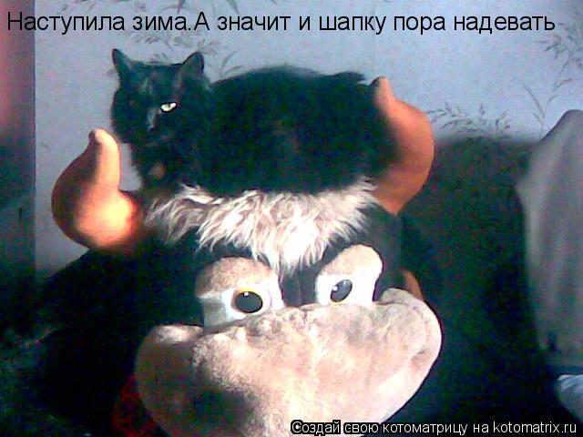 Наступила зима.А значит и шапку пора надевать... Котоматрица: Наступила зима.А значит и шапку пора надевать