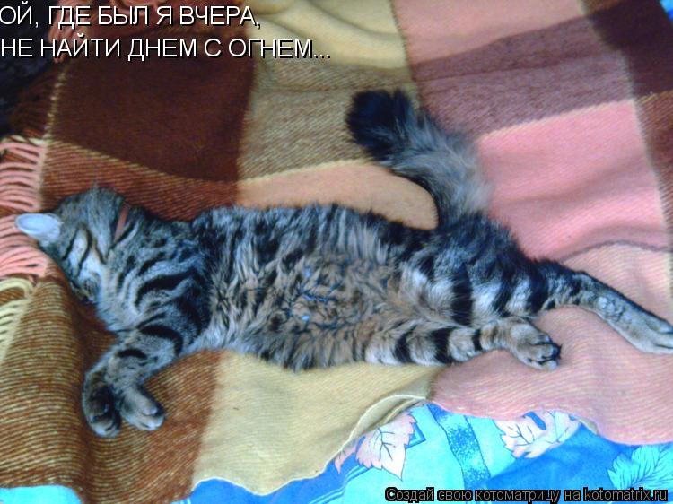 НЕ НАЙТИ ДНЕМ С ОГНЕМ... OЙ, ГДЕ БЫЛ Я ВЧЕРА,... Котоматрица: НЕ НАЙТИ ДНЕМ С ОГНЕМ... OЙ, ГДЕ БЫЛ Я ВЧЕРА,