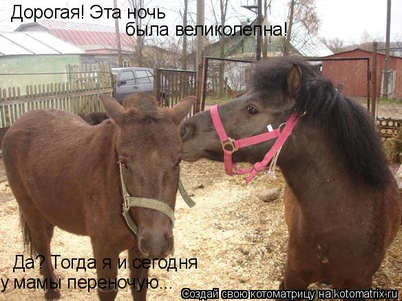 Дорогая! Эта ночь была великолепна! Да? Тогда я и сегодня у мамы переночую...... Котоматрица: Дорогая! Эта ночь была великолепна! Да? Тогда я и сегодня у мамы переночую...