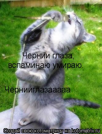 Чёрнии глаза, вспаминаю умираю. . Чёрнииглазааааа... Котоматрица: Чёрнии глаза, вспаминаю умираю. . Чёрнииглазааааа