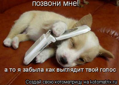 позвони мне! а то я забыла как выглядит твой голос... Котоматрица: позвони мне! а то я забыла как выглядит твой голос