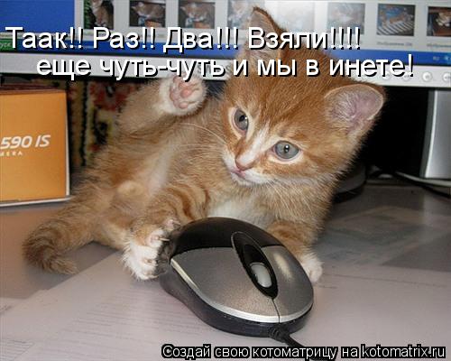 Таак!! Раз!! Два!!! Взяли!!!! еще чуть-чуть и мы в инете!... Котоматрица: Таак!! Раз!! Два!!! Взяли!!!! еще чуть-чуть и мы в инете!