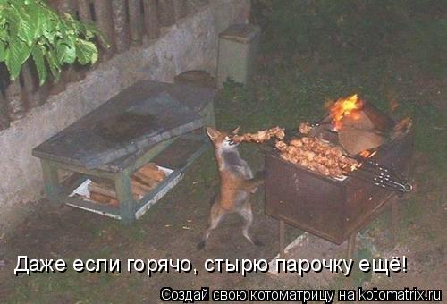 Даже если горячо, стырю парочку ещё!... Котоматрица: Даже если горячо, стырю парочку ещё!