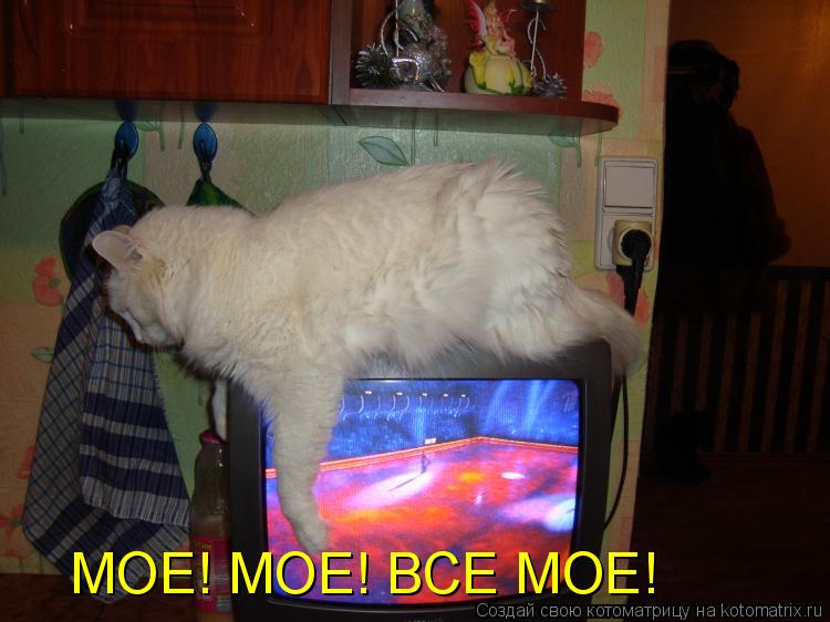 Котоматрица: МОЕ! МОЕ! ВСЕ МОЕ!