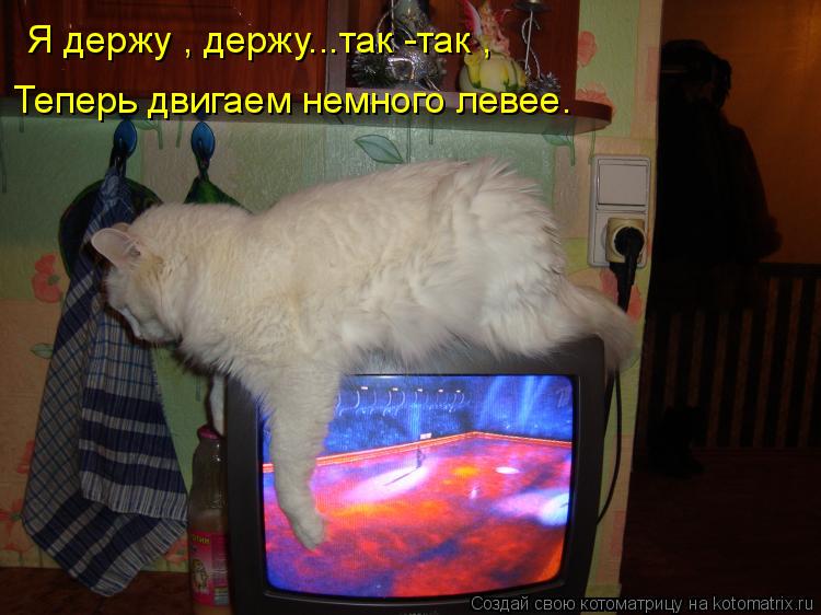 Котоматрица: Я держу , держу...так -так , Теперь двигаем немного левее.