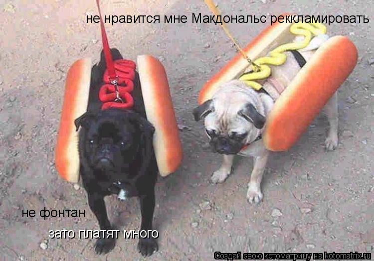 не нравится мне Макдональс реккламировать не фонтан зато платят много... Котоматрица: не нравится мне Макдональс реккламировать не фонтан зато платят много