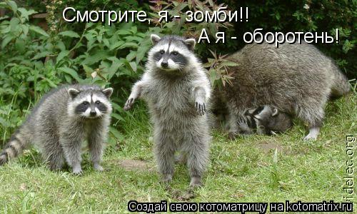 Смотрите, я - зомби!! А я - оборотень!... Котоматрица: Смотрите, я - зомби!! А я - оборотень!