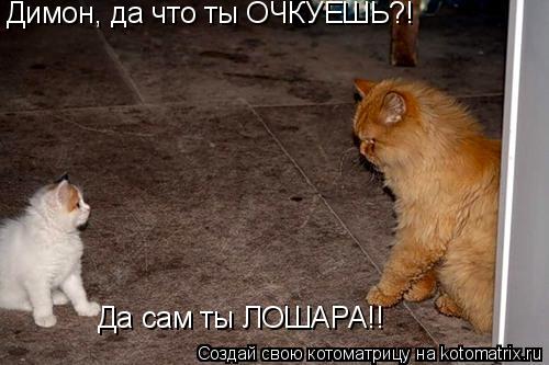 Димон, да что ты ОЧКУЕШЬ?! Да сам ты ЛОШАРА!!... Котоматрица: Димон, да что ты ОЧКУЕШЬ?! Да сам ты ЛОШАРА!!