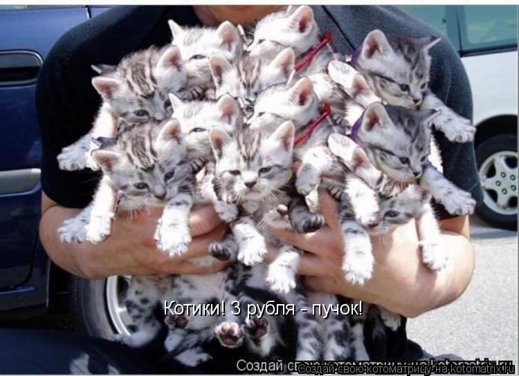 Котики! 3 рубля - пучок!... Котоматрица: Котики! 3 рубля - пучок!