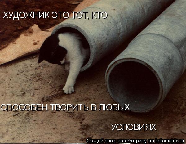 ХУДОЖНИК ЭТО ТОТ, КТО СПОСОБЕН ТВОРИТЬ В ЛЮБЫХ УСЛОВИЯХ... Котоматрица: ХУДОЖНИК ЭТО ТОТ, КТО СПОСОБЕН ТВОРИТЬ В ЛЮБЫХ УСЛОВИЯХ
