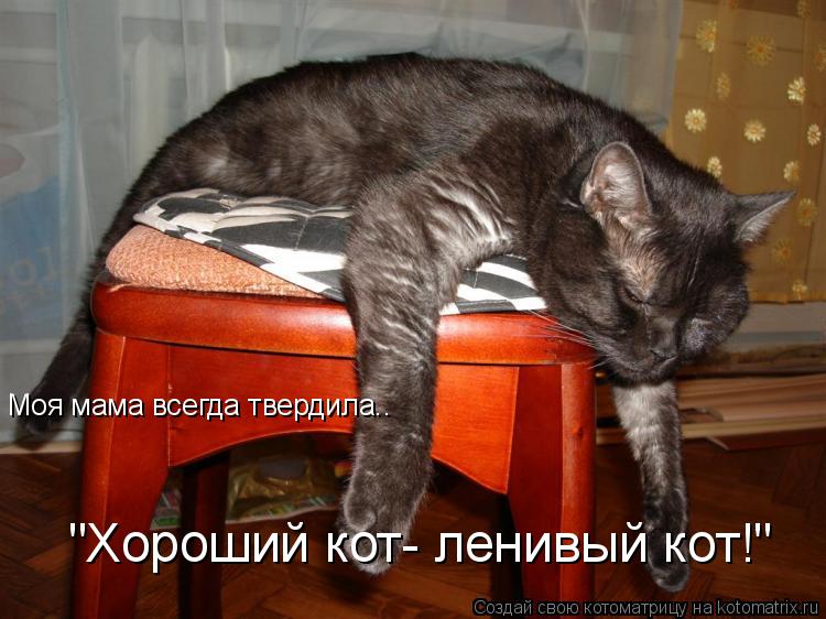 Моя мама всегда твердила.. "Хороший кот- ленивый кот!"... Котоматрица: Моя мама всегда твердила.. "Хороший кот- ленивый кот!"
