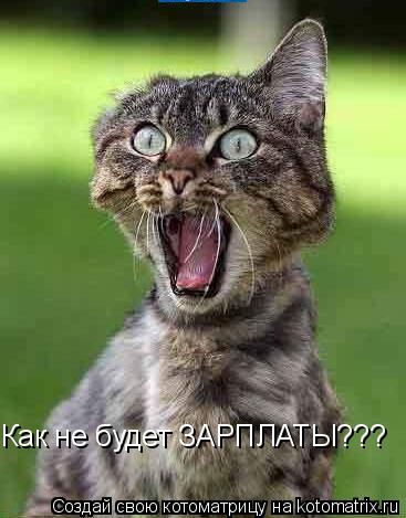 Как не будет ЗАРПЛАТЫ???... Котоматрица: Как не будет ЗАРПЛАТЫ???