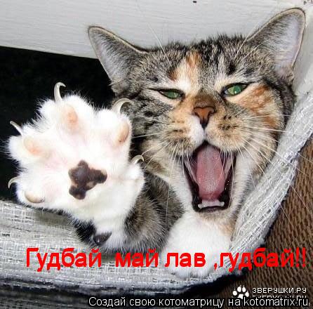 Гудбай май лав ,гудбай!! Гудбай май лав ,гудбай!!... Котоматрица: Гудбай май лав ,гудбай!! Гудбай май лав ,гудбай!!