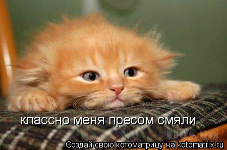 классно меня пресом смяли... Котоматрица: классно меня пресом смяли