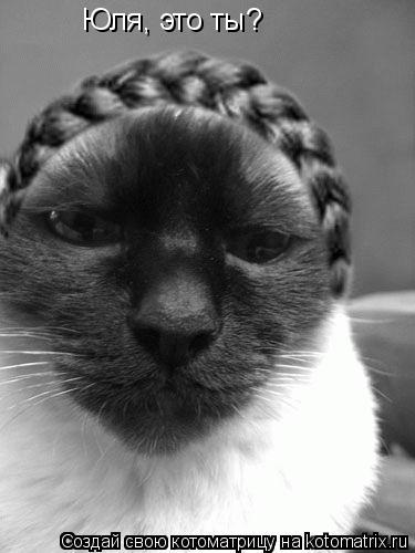Юля, это ты?... Котоматрица: Юля, это ты?
