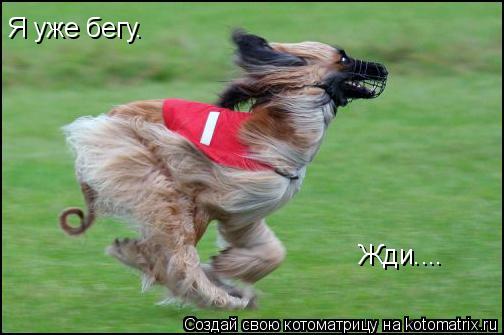 Я уже бегу. Жди....... Котоматрица: Я уже бегу. Жди....