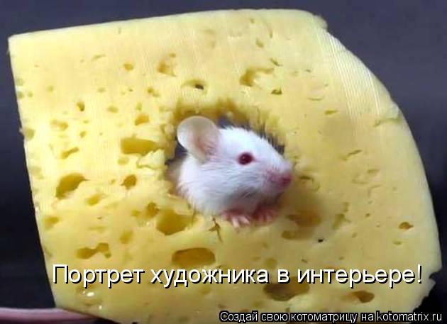 Портрет художника в интерьере!... Котоматрица: Портрет художника в интерьере!