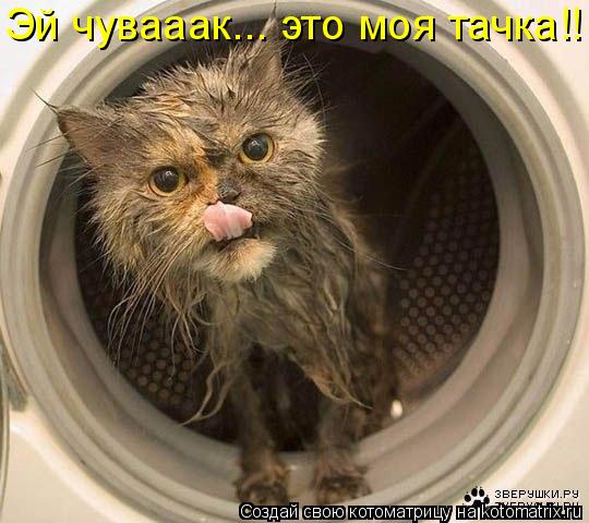 Эй чувааак... это моя тачка!!... Котоматрица: Эй чувааак... это моя тачка!!