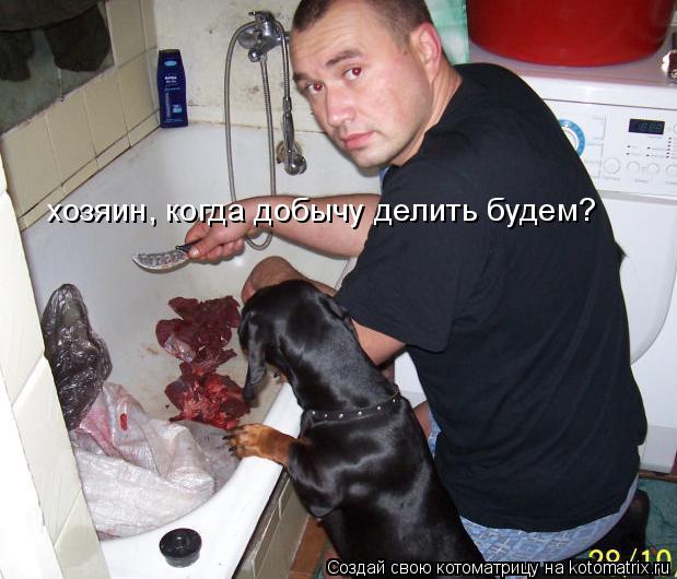 хозяин, когда добычу делить будем?... Котоматрица: хозяин, когда добычу делить будем?