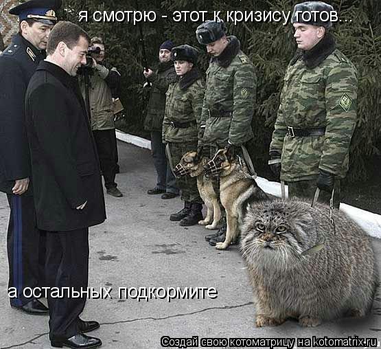 я смотрю - этот к кризису готов... а остальных подкормите... Котоматрица: я смотрю - этот к кризису готов... а остальных подкормите