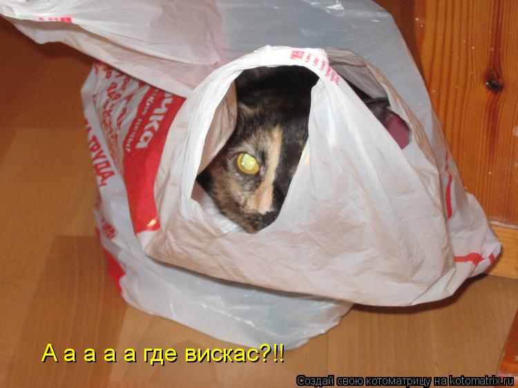 Котоматрица: А а а а а где вискас?!!