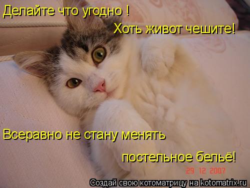 Котоматрица: Делайте что угодно !  Хоть живот чешите!   Всеравно не стану менять   постельное бельё!