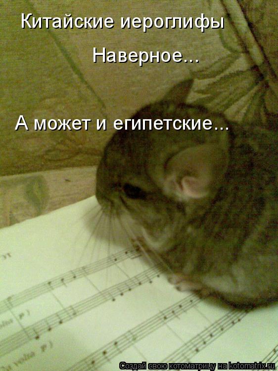 Китайские иероглифы Наверное... А может и египетские...... Котоматрица: Китайские иероглифы Наверное... А может и египетские...