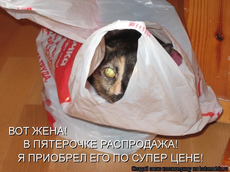 ВОТ ЖЕНА! В ПЯТЕРОЧКЕ РАСПРОДАЖА! Я ПРИОБРЕЛ ЕГО ПО СУПЕР ЦЕНЕ!... Котоматрица: ВОТ ЖЕНА! В ПЯТЕРОЧКЕ РАСПРОДАЖА! Я ПРИОБРЕЛ ЕГО ПО СУПЕР ЦЕНЕ!