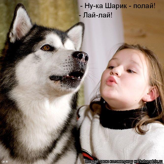 - Ну-ка Шарик - полай! - Лай-лай!... Котоматрица: - Ну-ка Шарик - полай! - Лай-лай!