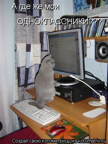 Котоматрица: А где же мои ОДНОКЛАССНИКИ???