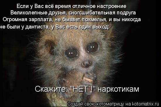 Если у Вас всё время отличное настроение Великолепные друзья, сногсшибательная подруга Огромная зарплата, не бывает похмелья, и вы никогда не были у д