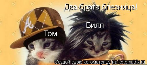 Два брата блезница! Билл Том... Котоматрица: Два брата блезница! Билл Том