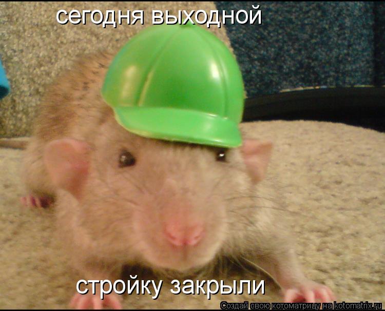 сегодня выходной стройку закрыли... Котоматрица: сегодня выходной стройку закрыли